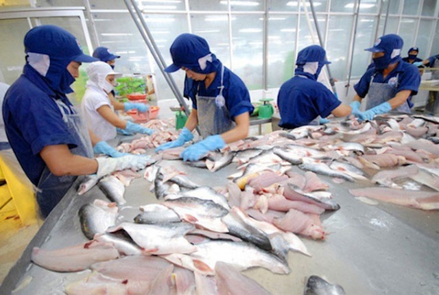 Pangasius exports decreased by 25% in 2020