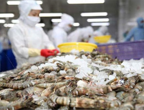 Seafood exports decreased by 0.8% in the first 10 months of the year