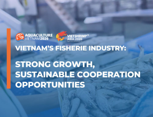 Vietnam’s Fisherie Industry: Strong Growth, Sustainable Cooperation Opportunities