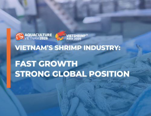 Vietnam’s Shrimp Industry: Fast Growth and Strong Global Position